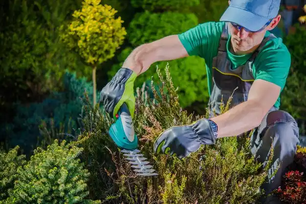 landscaping services Flint